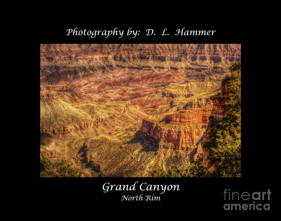 Grand Canyon #2 Photograph by Dennis Hammer