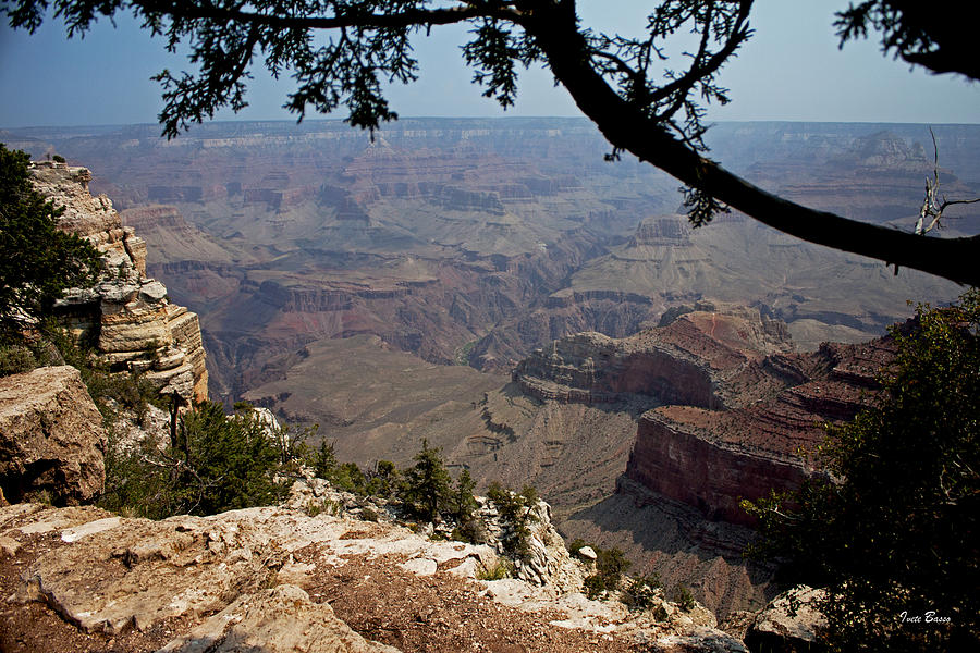 Grand Canyon Photograph by Ivete Basso Photography
