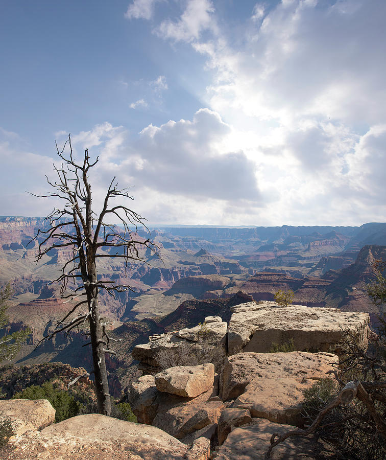 Grand Canyon National Park #2 Photograph by Ed Freeman