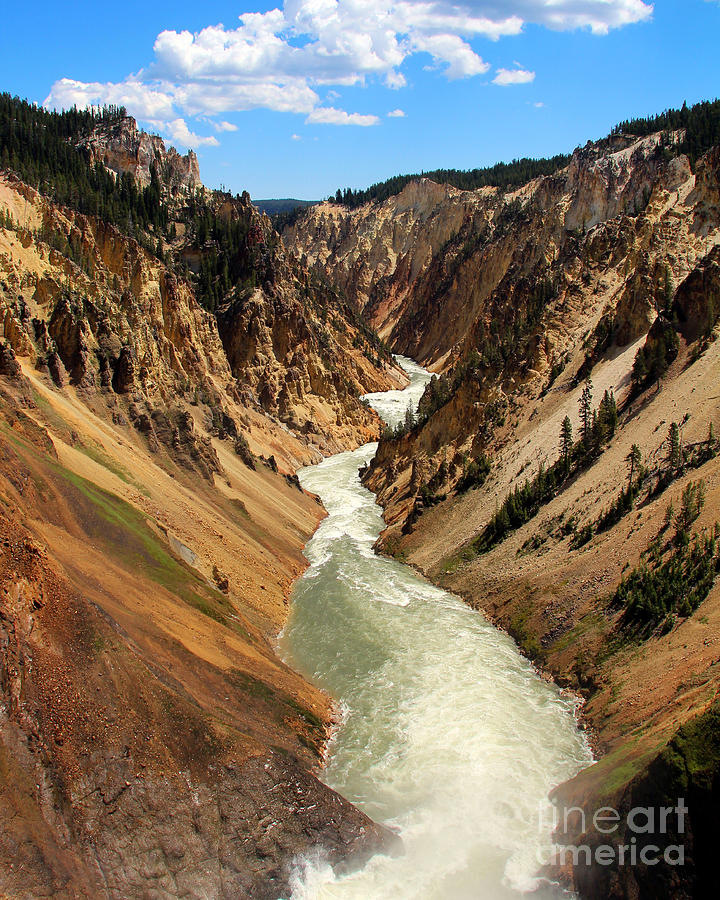 Grand Canyon of Yellowstone Photograph by Jemmy Archer