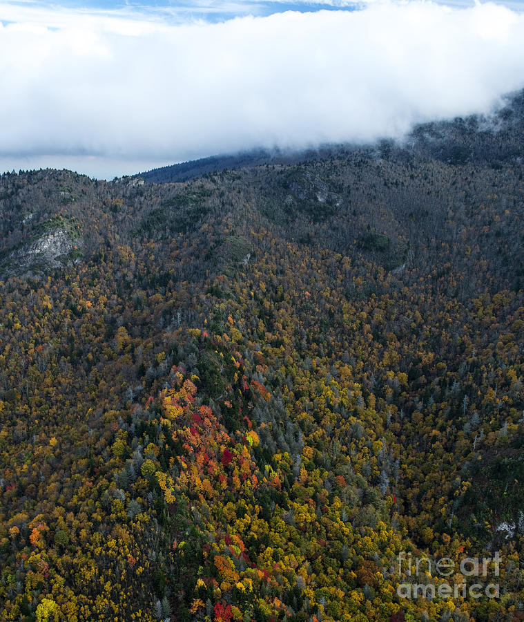 Grandfather Mountain State Park Autumn Colors #3 Photograph by David Oppenheimer