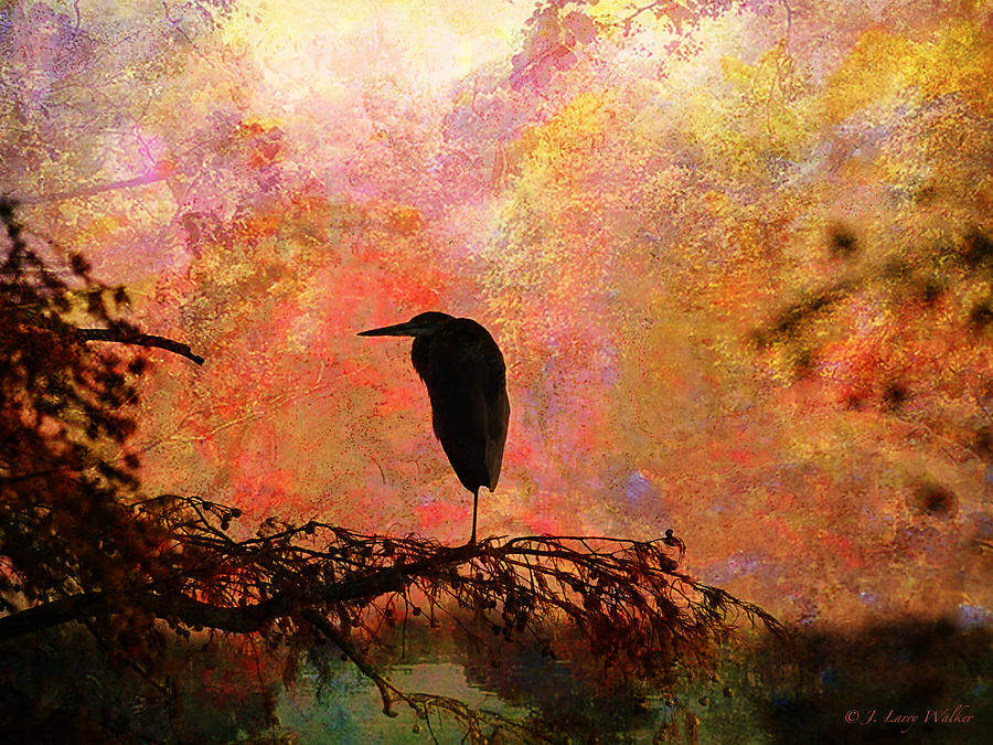 Great Blue Heron #2 Digital Art by J Larry Walker