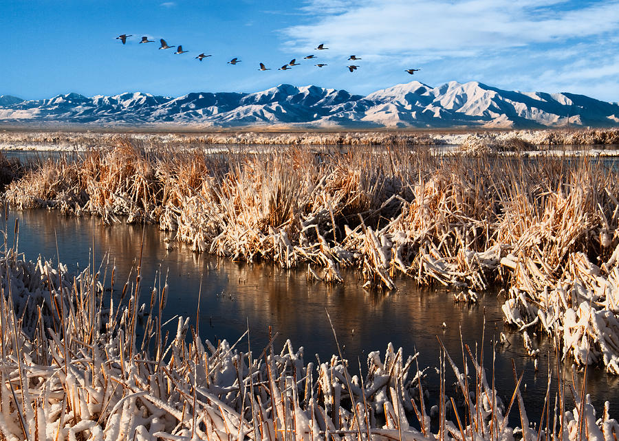 Winter Photograph - Great Salt Lake Utah #2 by Douglas Pulsipher