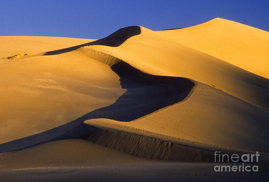 Great Sand Dunes National Park Photograph - Great Sand Dunes National Park & #2 by Richard and Ellen Thane