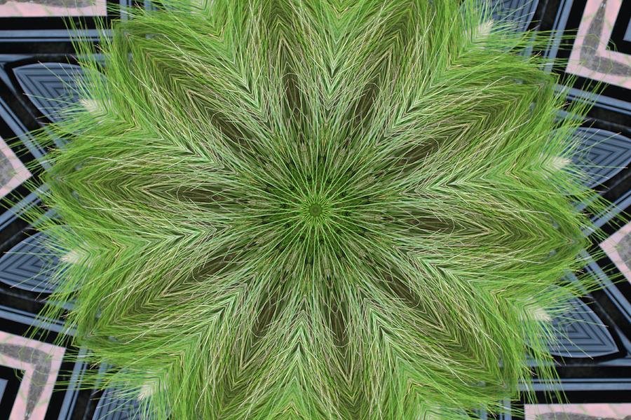 kaleidoscope green