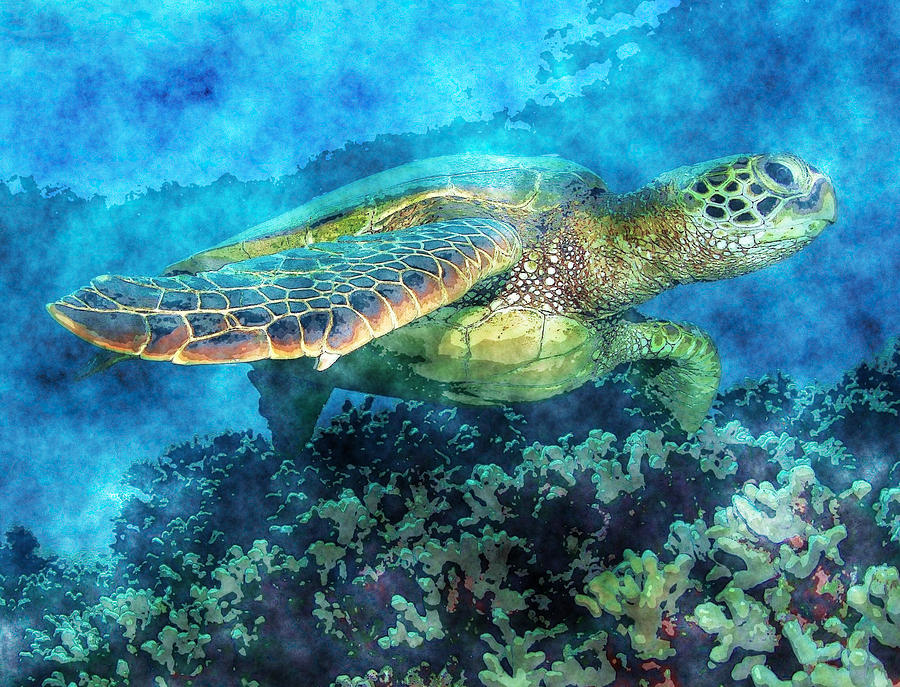 Green Turtle #4 Painting by MotionAge Designs