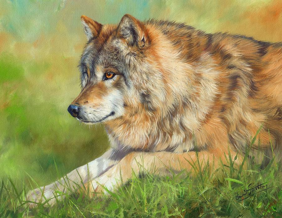 Wolves Painting - Grey Wolf #2 by David Stribbling