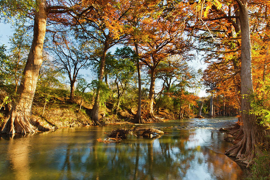 Cool Photograph - Guadalupe River, Texas Hill Country #2 by Larry Ditto