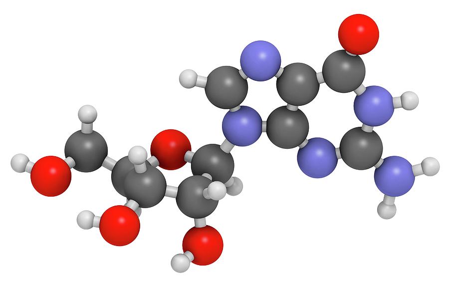 Guanosine Purine Nucleoside Molecule #2 Photograph by Molekuul