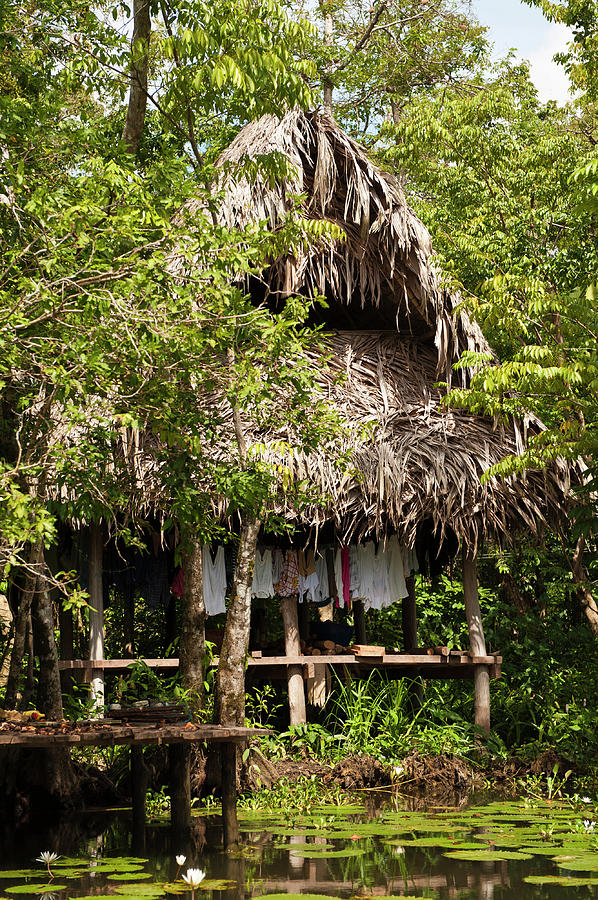 Guatemala, Lake Izabal Photograph by Michael Defreitas - Fine Art America