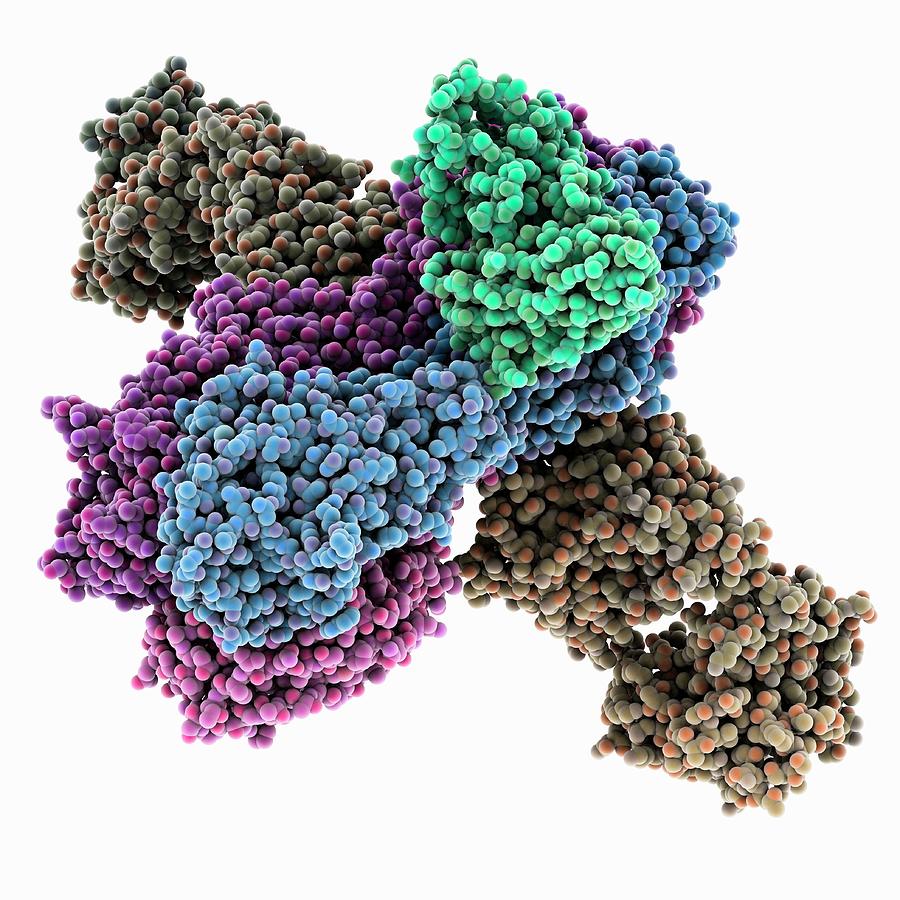 Haemagglutinin Viral Surface Protein #2 Photograph by Laguna Design