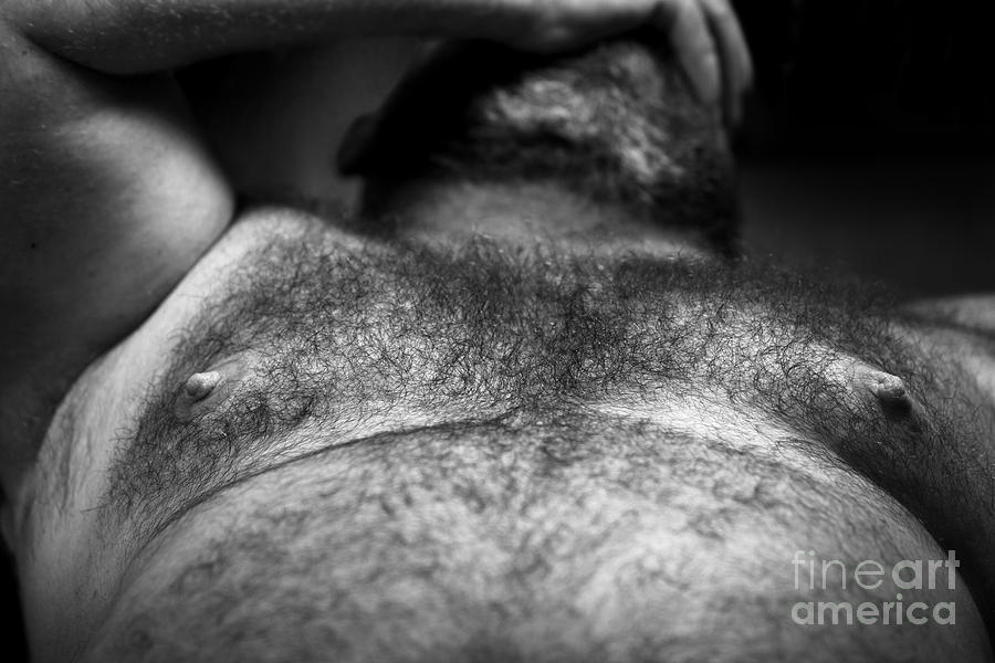 Hairy Closeup Photograph by Bear Pictureart