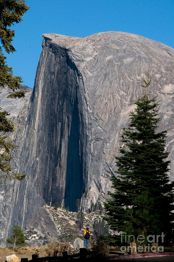 Yosemite National Park Photograph - Half Dome, Yosemite Np #2 by Mark Newman