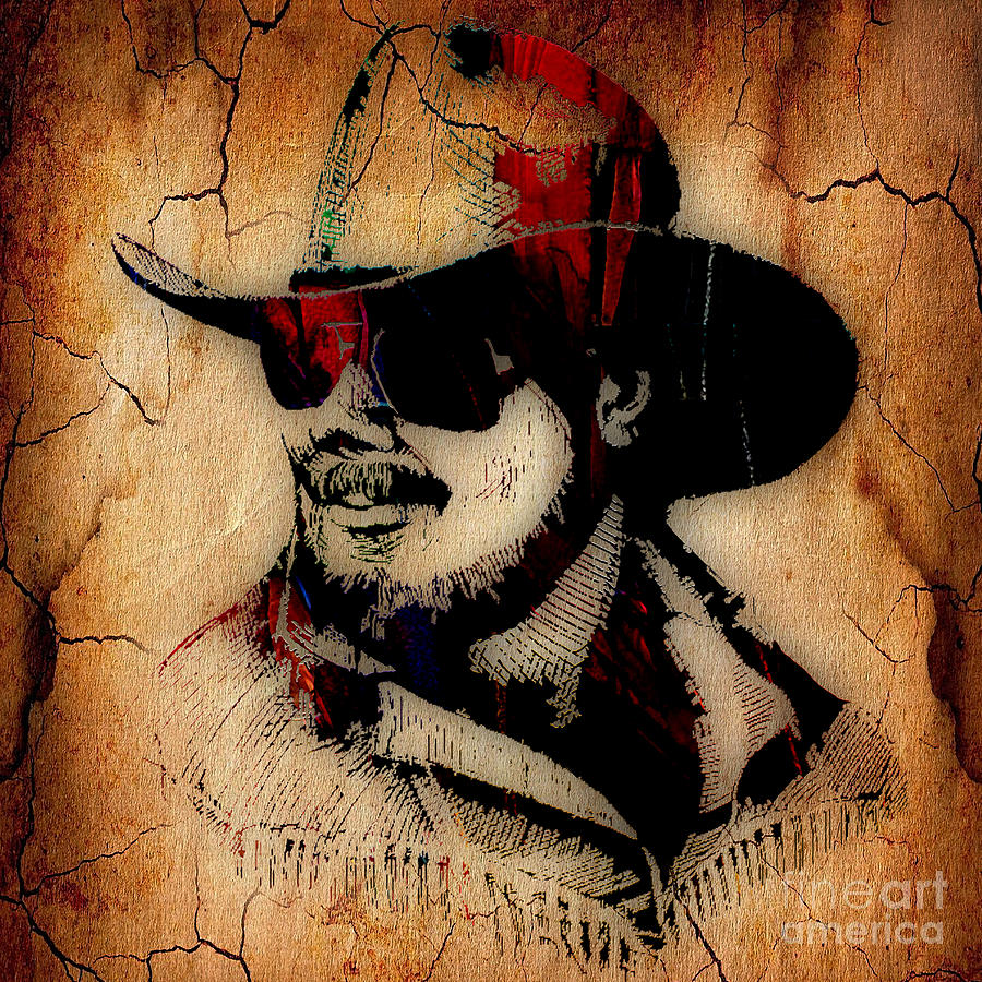 Hank Williams Jr Collection #5 Mixed Media by Marvin Blaine