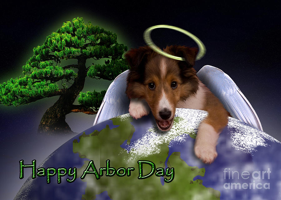 Nature Photograph - Happy Arbor Day Angel Sheltie #2 by Jeanette K