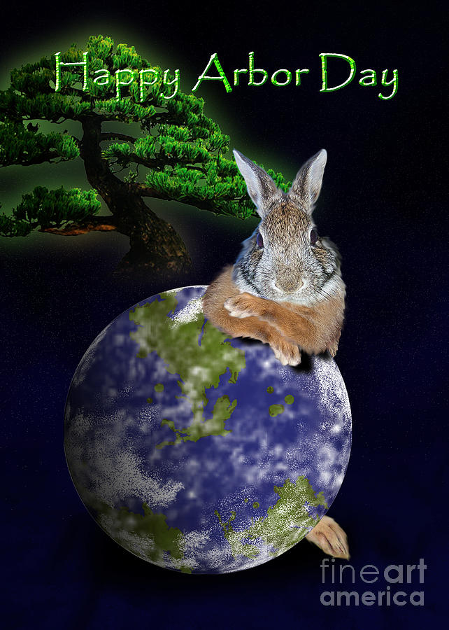 Nature Photograph - Happy Arbor Day Bunny Rabbit #2 by Jeanette K