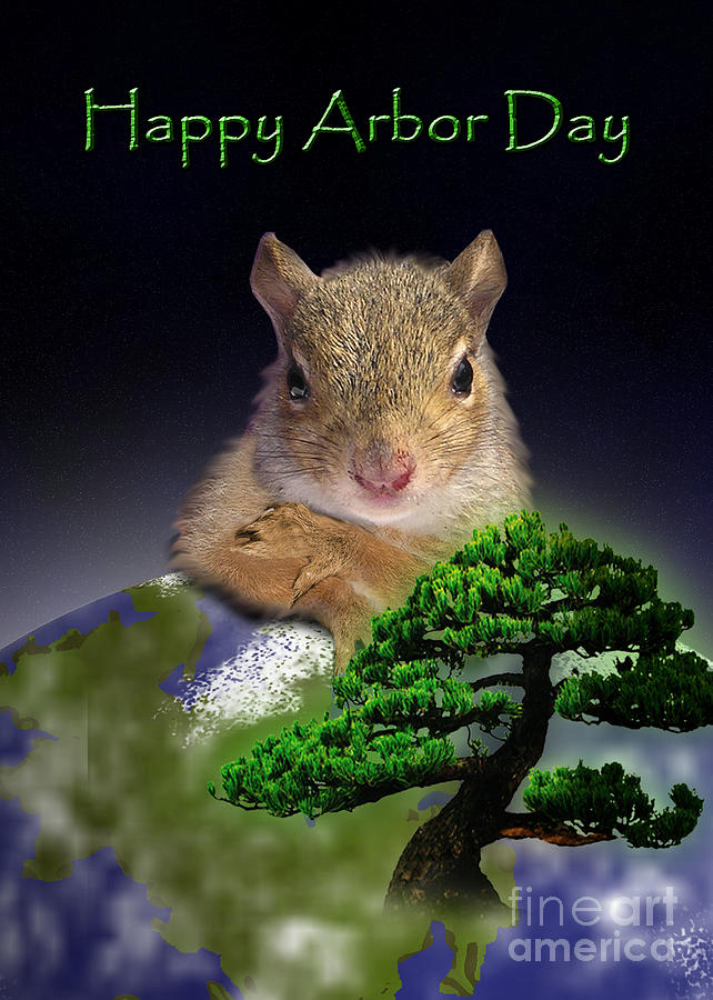 Nature Photograph - Happy Arbor Day Squirrel #2 by Jeanette K