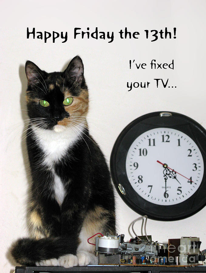 Cat Photograph - Happy Friday The 13th. #2 by Ausra Huntington nee Paulauskaite
