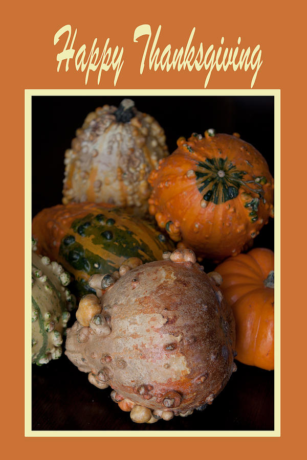 Happy Thanksgiving #2 Photograph by Ivete Basso Photography