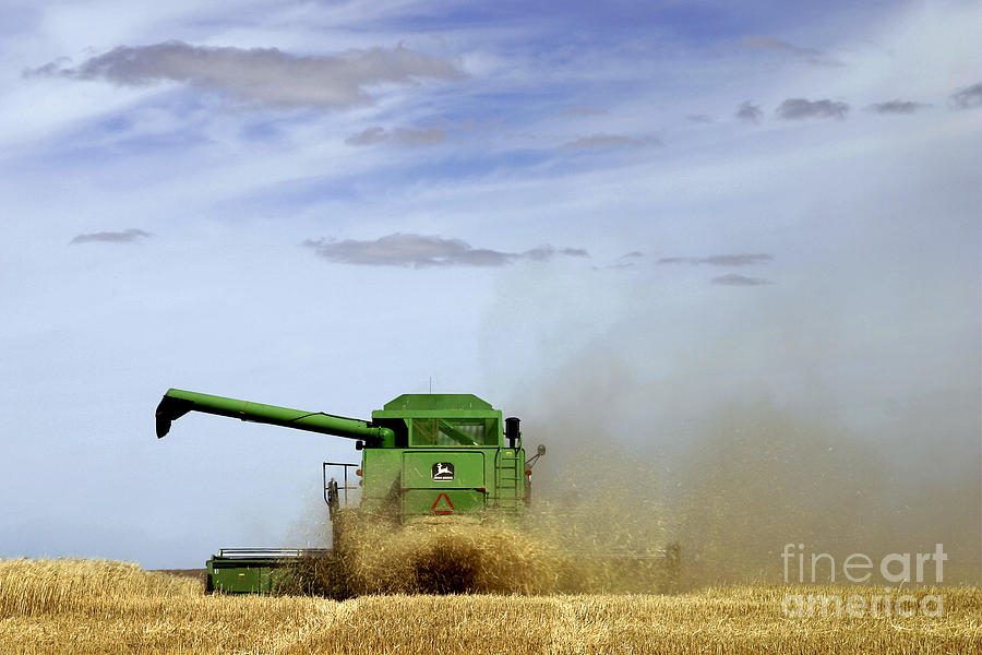 Harvest #3 Photograph by Inge Riis McDonald
