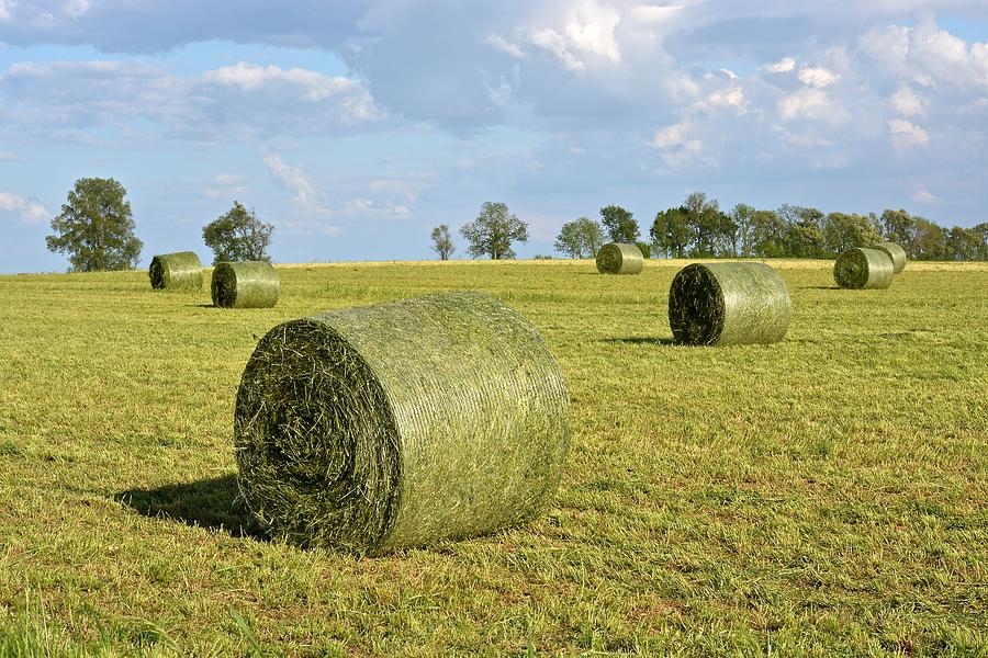 Hay Bales In Spring #2 Photograph by Tana Reiff