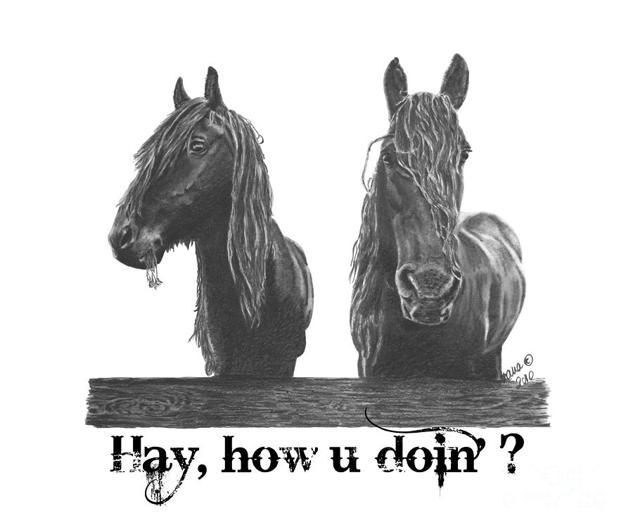 Horse Digital Art - Hay How u doin by Marianne NANA Betts