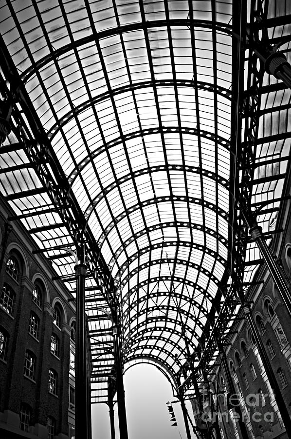 Hays Galleria roof 1 Photograph by Elena Elisseeva