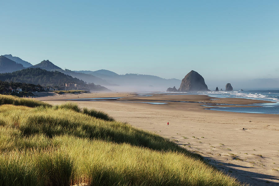Haystack Rock Seen From Dunes #2 Photograph by Sawaya Photography