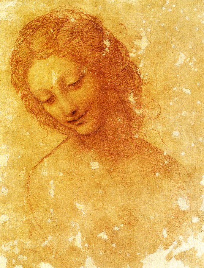 Head of Leda #5 Painting by Leonardo Da Vinci