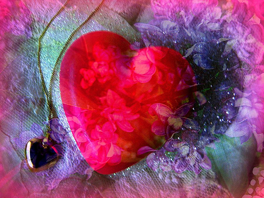 Holiday Photograph - Heart of My Heart #1 by Shirley Sirois