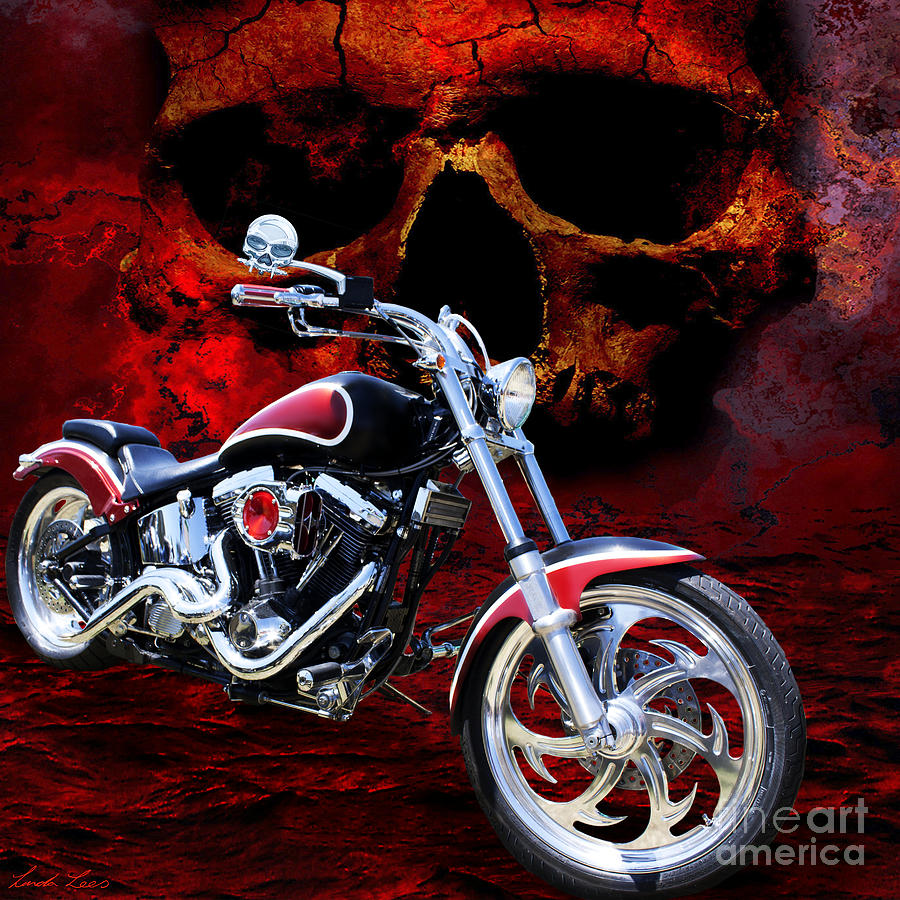 Skull Photograph - Heaven and Hell by Linda Lees