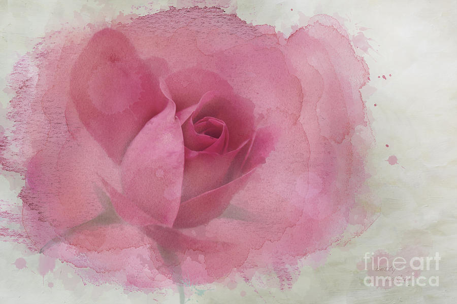 Rose Photograph - Heavenly Two by Betty LaRue