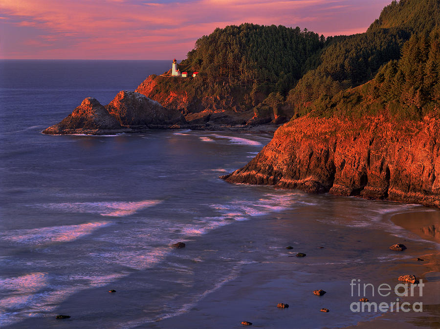 Heceta Head Lighthouse at Sunset Oregon Coast #2 Photograph by Dave Welling