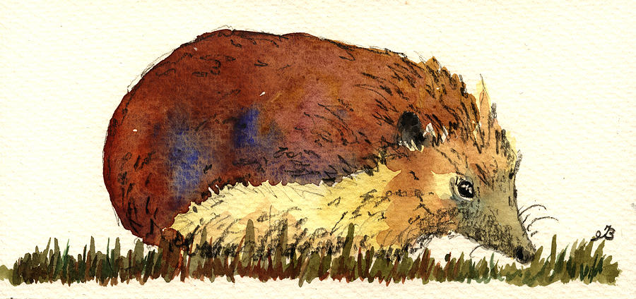 Wildlife Painting - Hedgehog #2 by Juan  Bosco