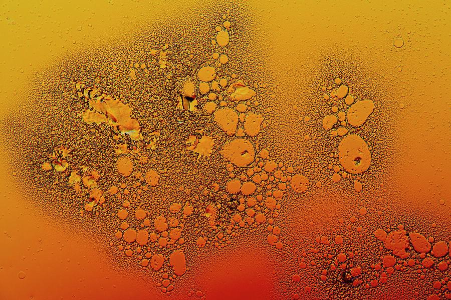 Heparin Drug Crystals #2 Photograph by Antonio Romero/science Photo Library