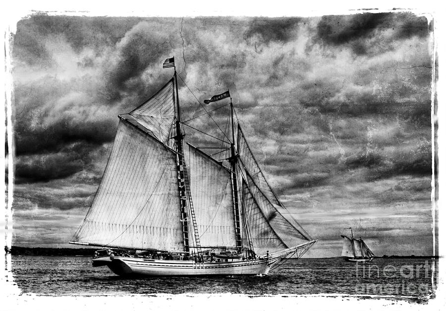 Heritage - Tall Sailing Ship Photograph by Alana Ranney