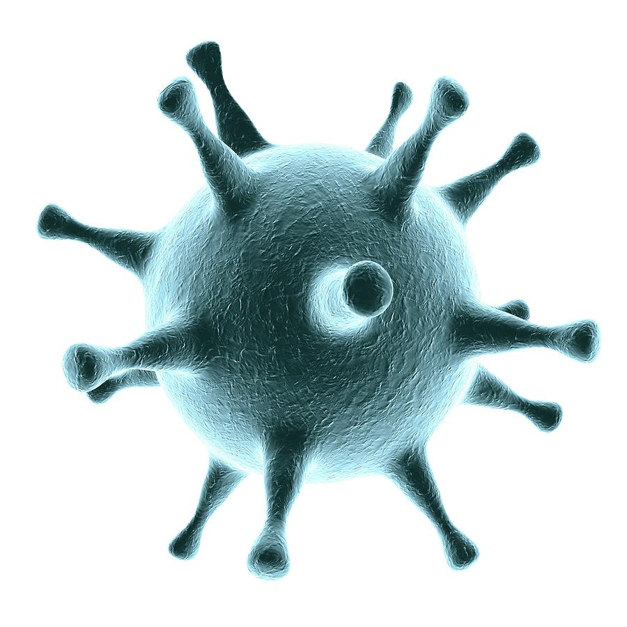Biology Photograph - Herpes Simplex Virus #2 by Kateryna Kon