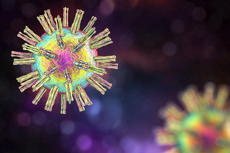 Herpes Simplex Virus Photograph By Kateryna Kon Science Photo Library
