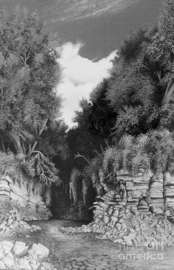 Hidden Canyon #1 Drawing by David Neace CPX