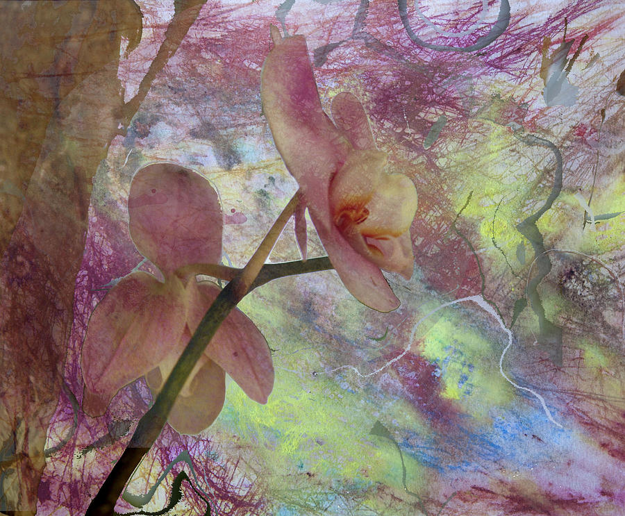 Hidden Orchid #2 Digital Art by Donna Walsh