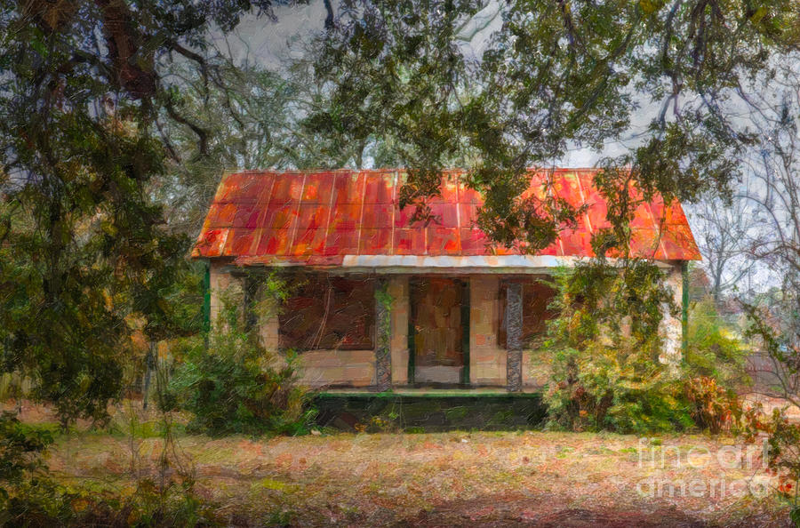 Southern Highway 17 Shack Digital Art by Dale Powell