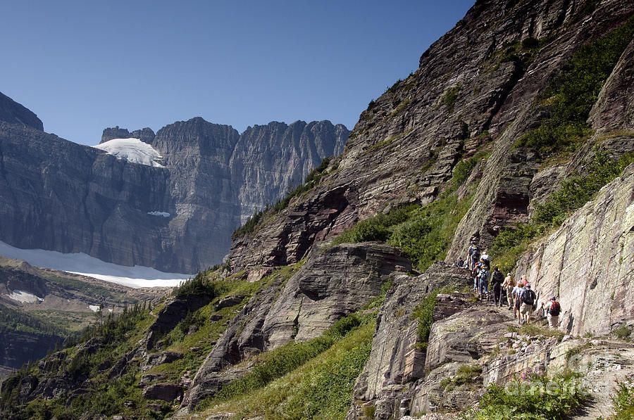 Hiking In Glacier National Park #2 Photograph by Mark Newman
