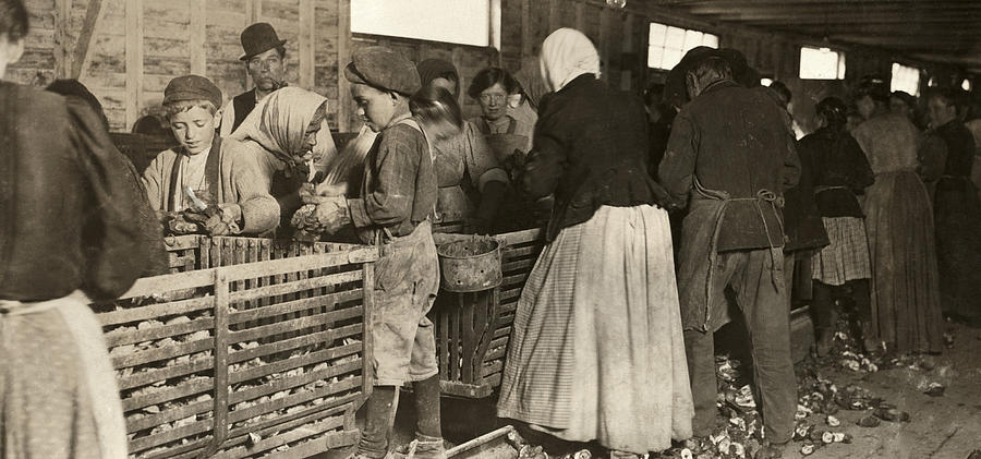 1911 Photograph - Hine Oyster Shuckers, 1911 #2 by Granger