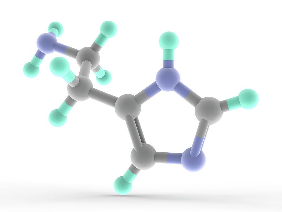 Histamine Molecule Photograph by Alfred Pasieka/science Photo Library ...