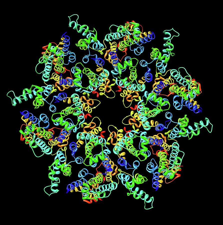Hiv-1 Capsid In Intact Virus Particle #2 Photograph by Alfred Pasieka