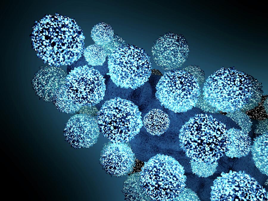 Acquired Immune Deficiency Syndrome Photograph - Hiv #2 by Maurizio De Angelis