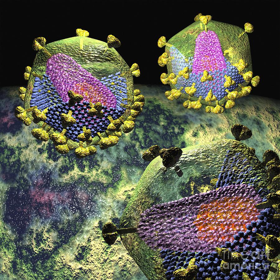 Hiv Particles Artwork Photograph By Russell Kightley Fine Art America