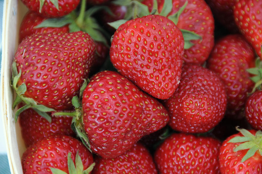 Honeoye Strawberries #2 Photograph by Bonnie Sue Rauch