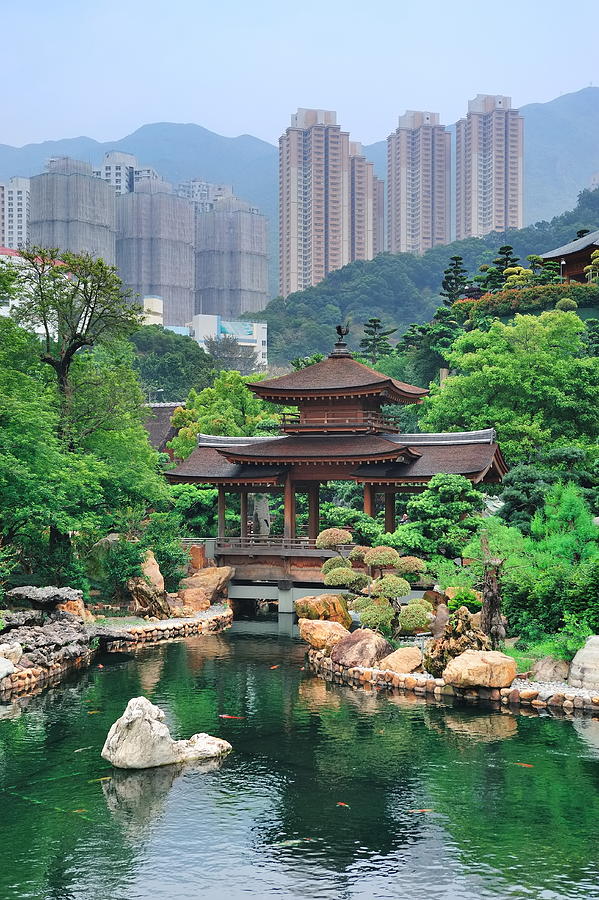 Hong Kong garden #2 Photograph by Songquan Deng