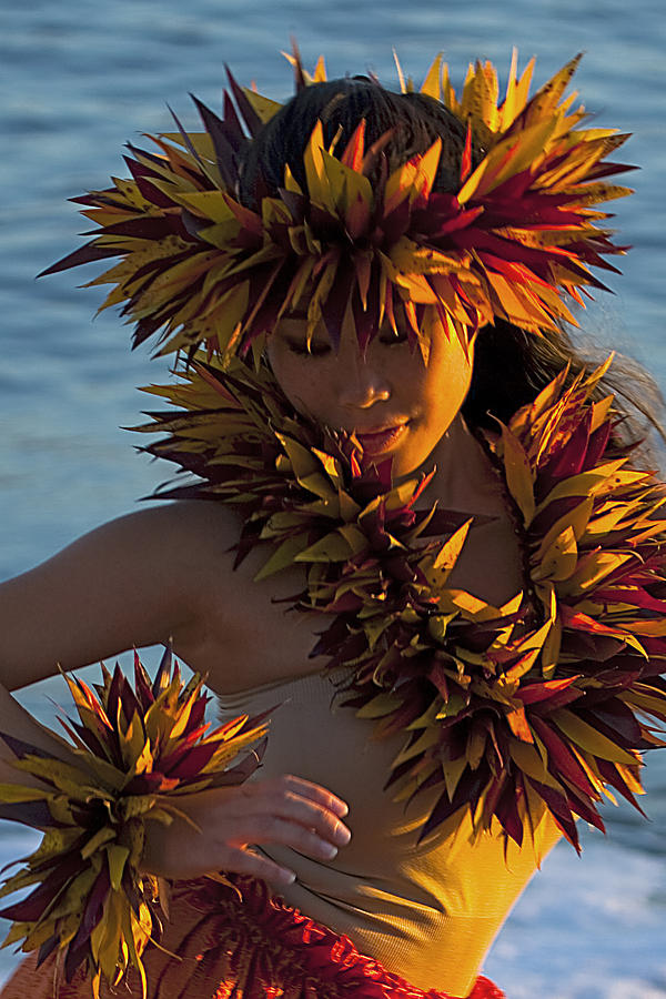 Hula Dancer Photograph by James Roemmling